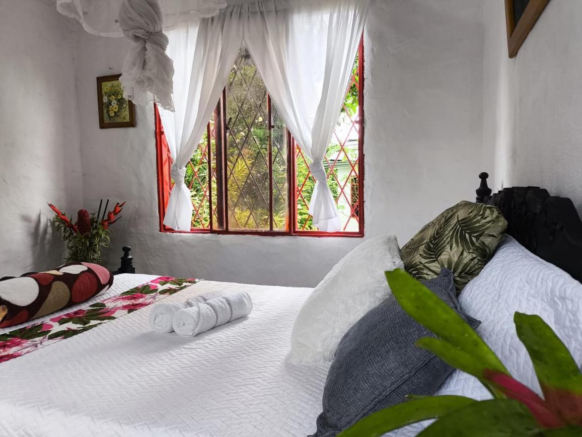 Villa Sonia Eco-Hostel Gigante Dış mekan fotoğraf